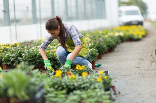 Professional gardener preparing a small Hounslow garden