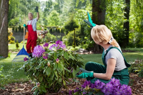 Community gardeners sorting green waste at a Hounslow garden site