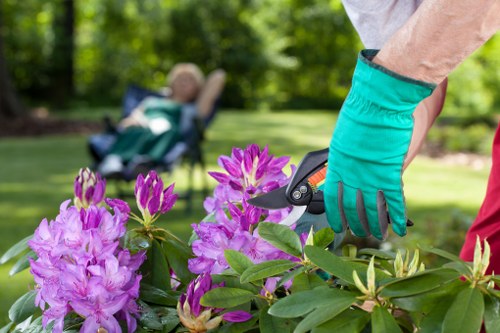 Segregated recycling bins for garden, food and mixed recyclables