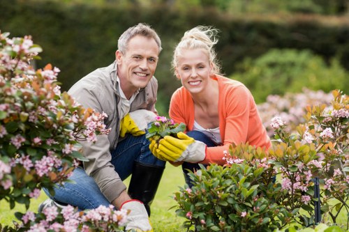 Various lawn mowing equipment for efficient grass cutting