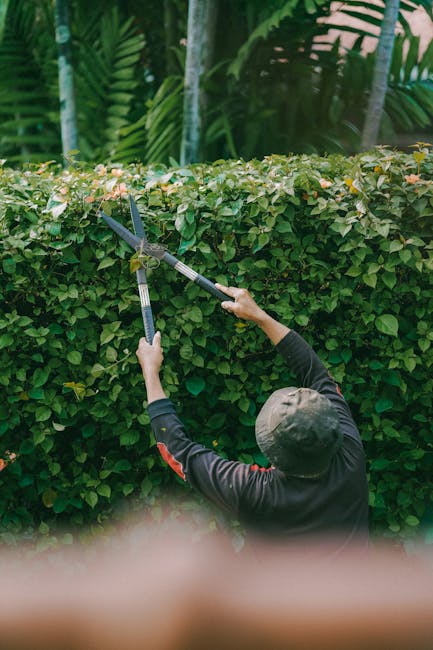 A man with styled hair, beard, and glasses is standing in a well-maintained garden during daylight hours, preparing for garden maintenance. He is wearing a checkered shirt, a black apron, and white ga